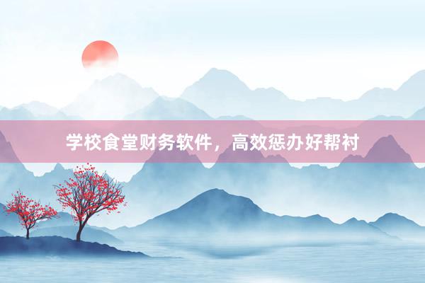 学校食堂财务软件，高效惩办好帮衬